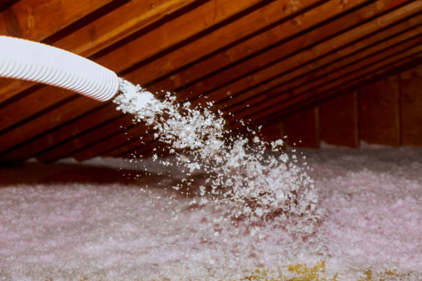 Best Blown-in Insulation in Exmore, VA