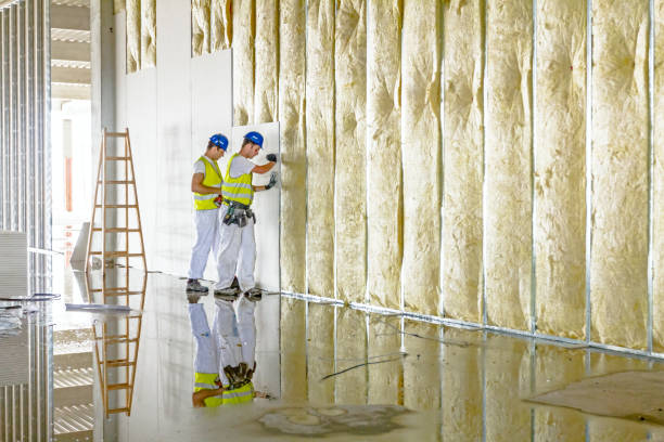 Best Geographic-Specific Insulation Services in Exmore, VA